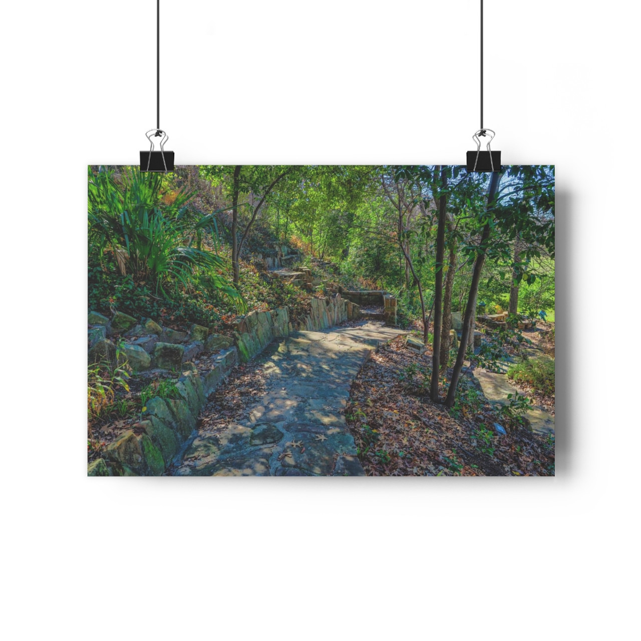 Reverchon Road - Giclee-Printed Fine Art Photographic Print on Museum Grade Paper