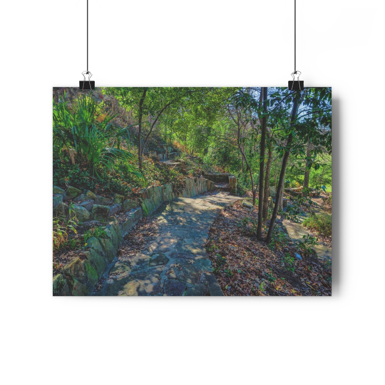 Reverchon Road - Giclee-Printed Fine Art Photographic Print on Museum Grade Paper