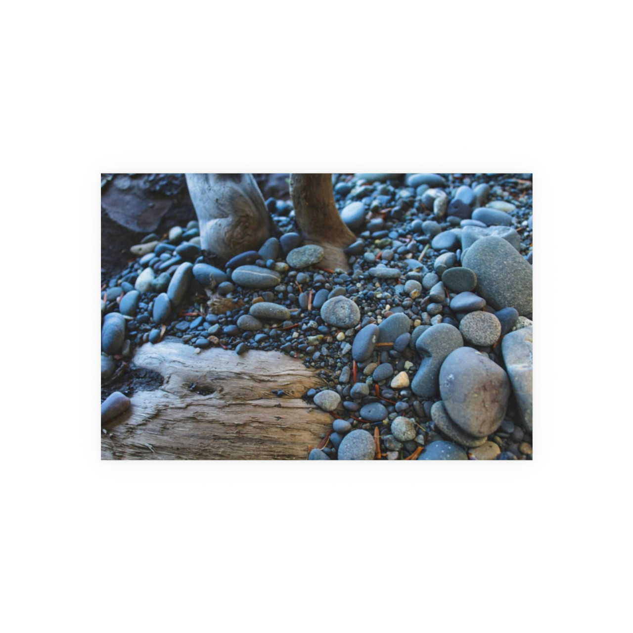 Rock Beats Paper - Photographic Print