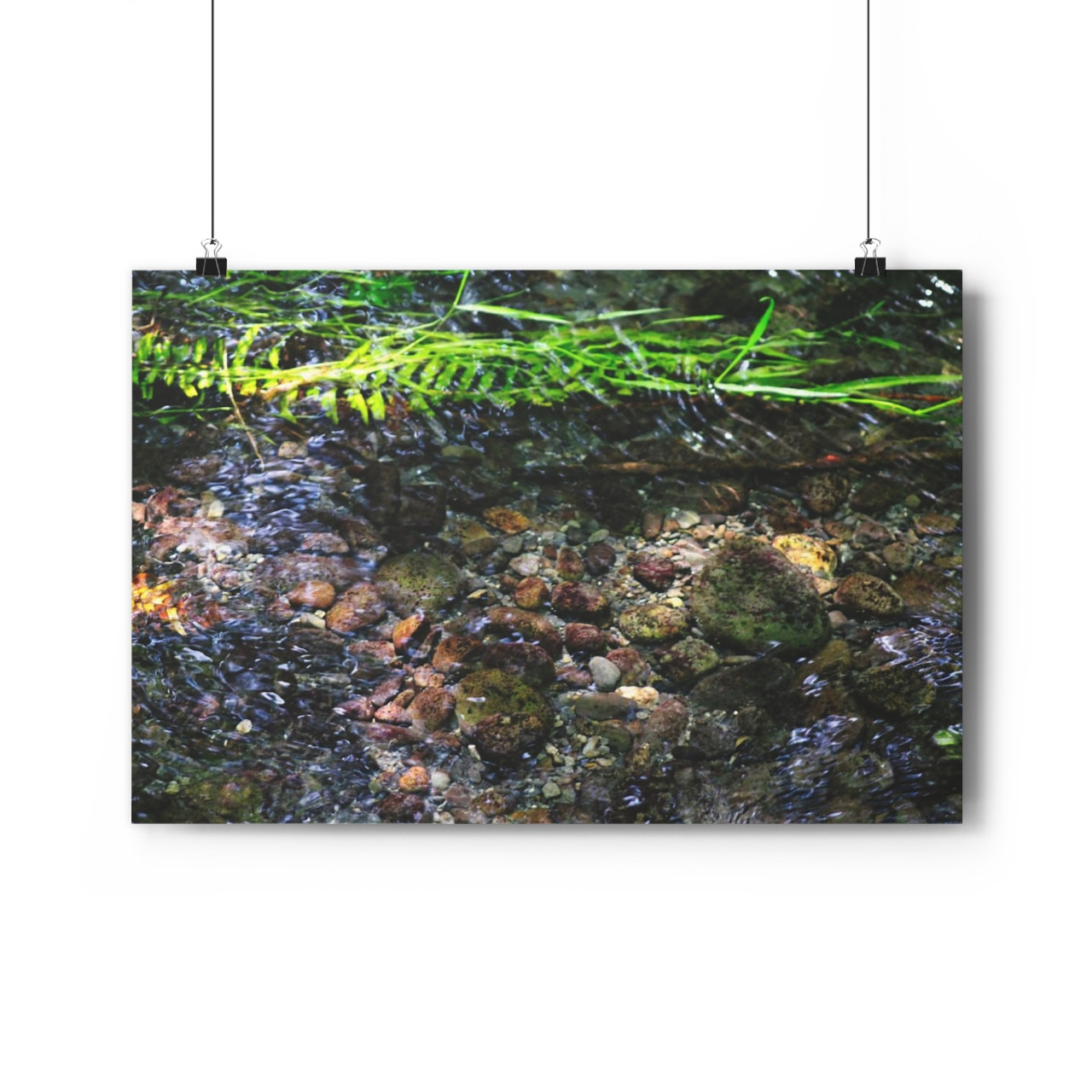 Stoney Creek - Giclee-Printed Fine Art Photographic Print on Museum Grade Paper