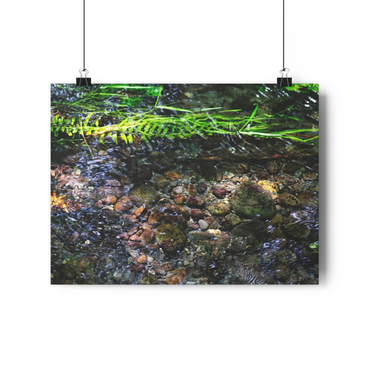 Stoney Creek - Giclee-Printed Fine Art Photographic Print on Museum Grade Paper
