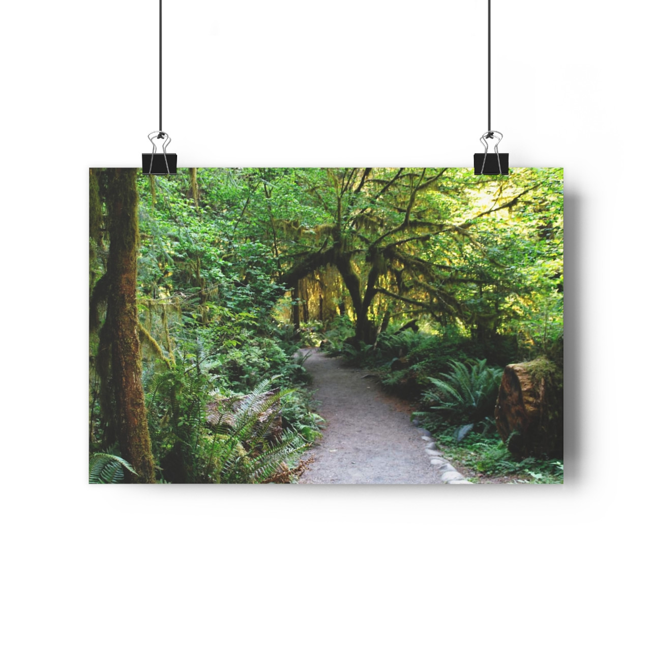 The Way Forward - Giclee-Printed Fine Art Photographic Print on Museum Grade Paper