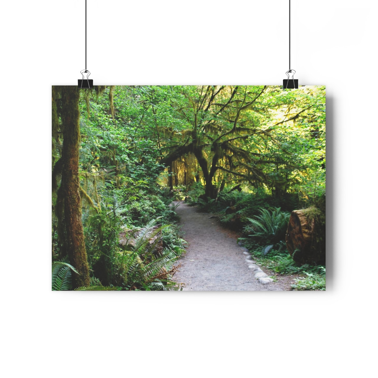 The Way Forward - Giclee-Printed Fine Art Photographic Print on Museum Grade Paper