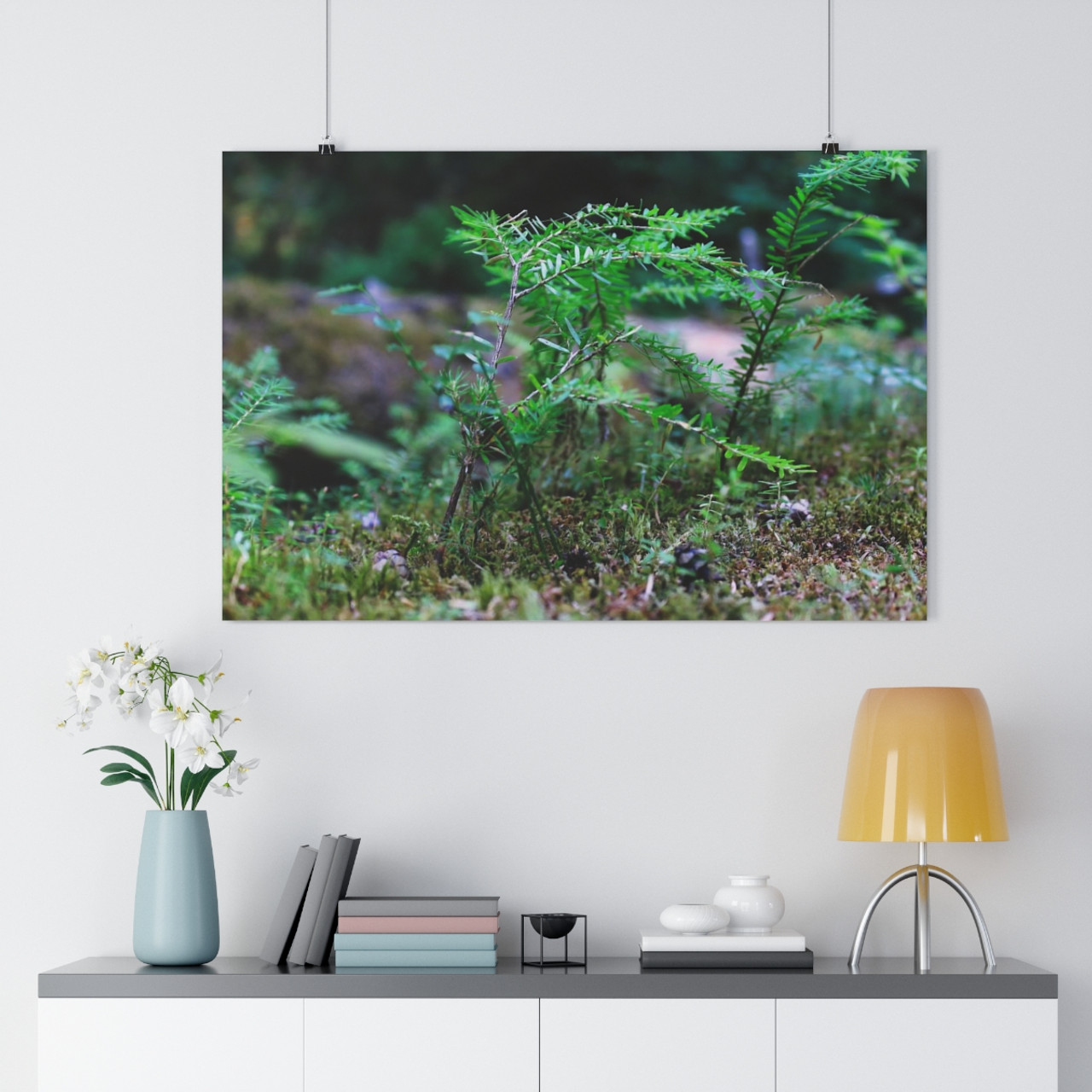 Tsuga Rising - Giclee-Printed Fine Art Photographic Print on Museum Grade Paper