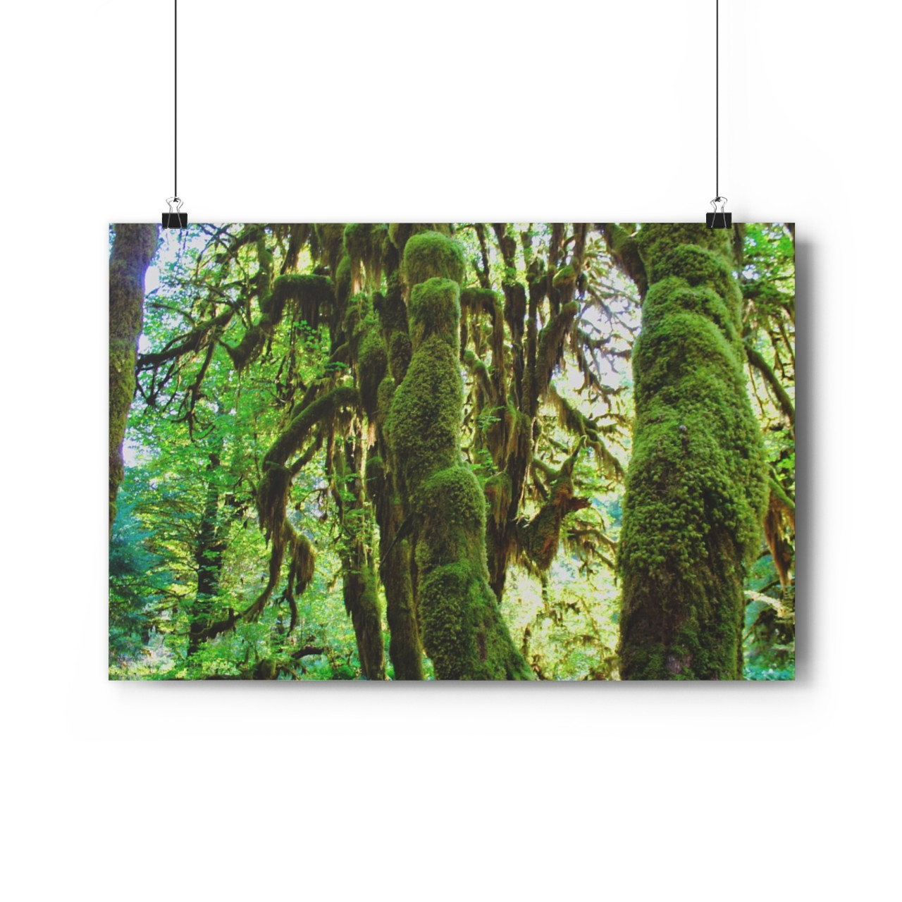Tufted Towers - Giclee-Printed Fine Art Photographic Print on Museum Grade Paper