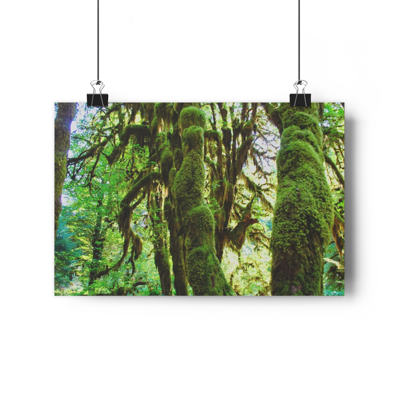 Tufted Towers - Giclee-Printed Fine Art Photographic Print on Museum Grade Paper