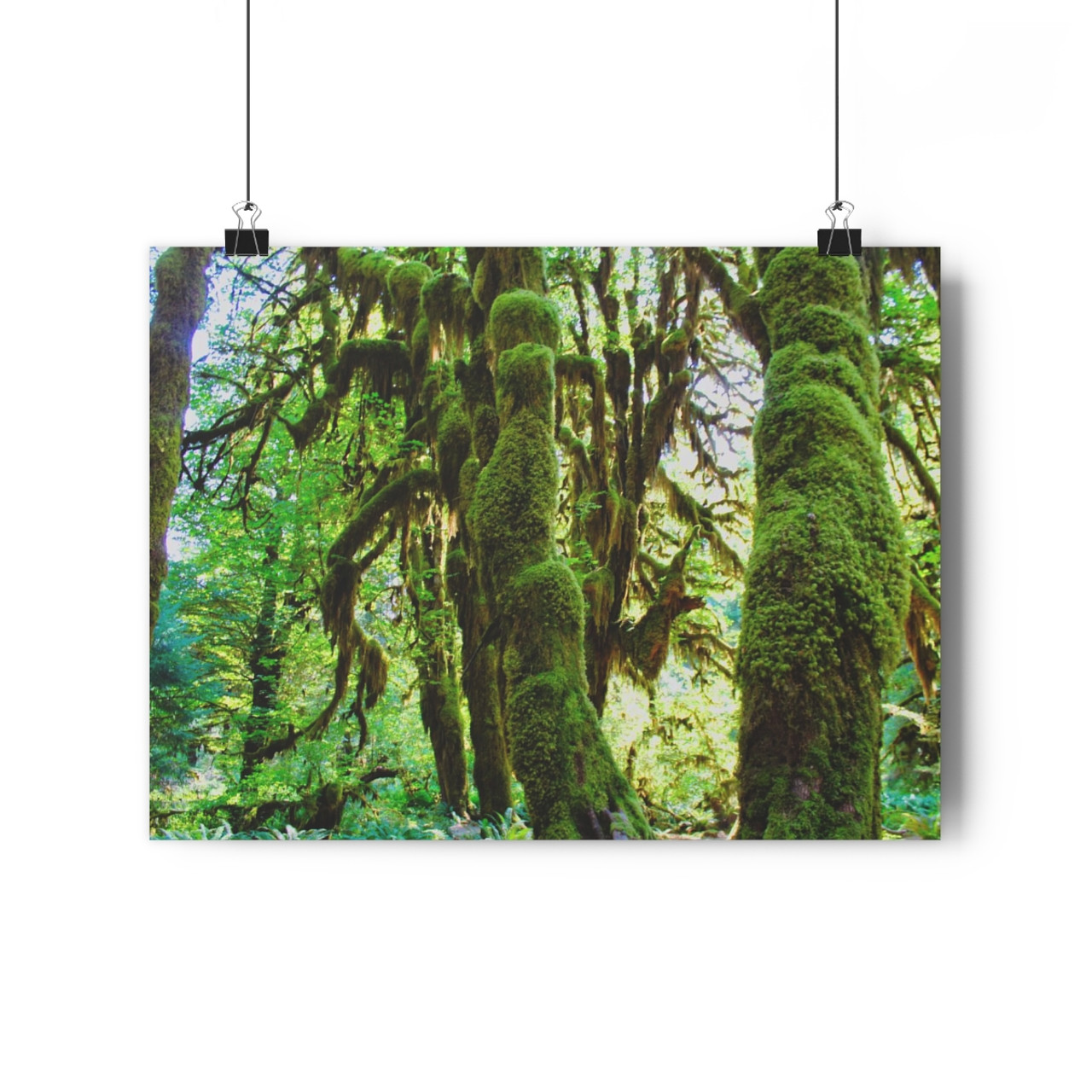 Tufted Towers - Giclee-Printed Fine Art Photographic Print on Museum Grade Paper