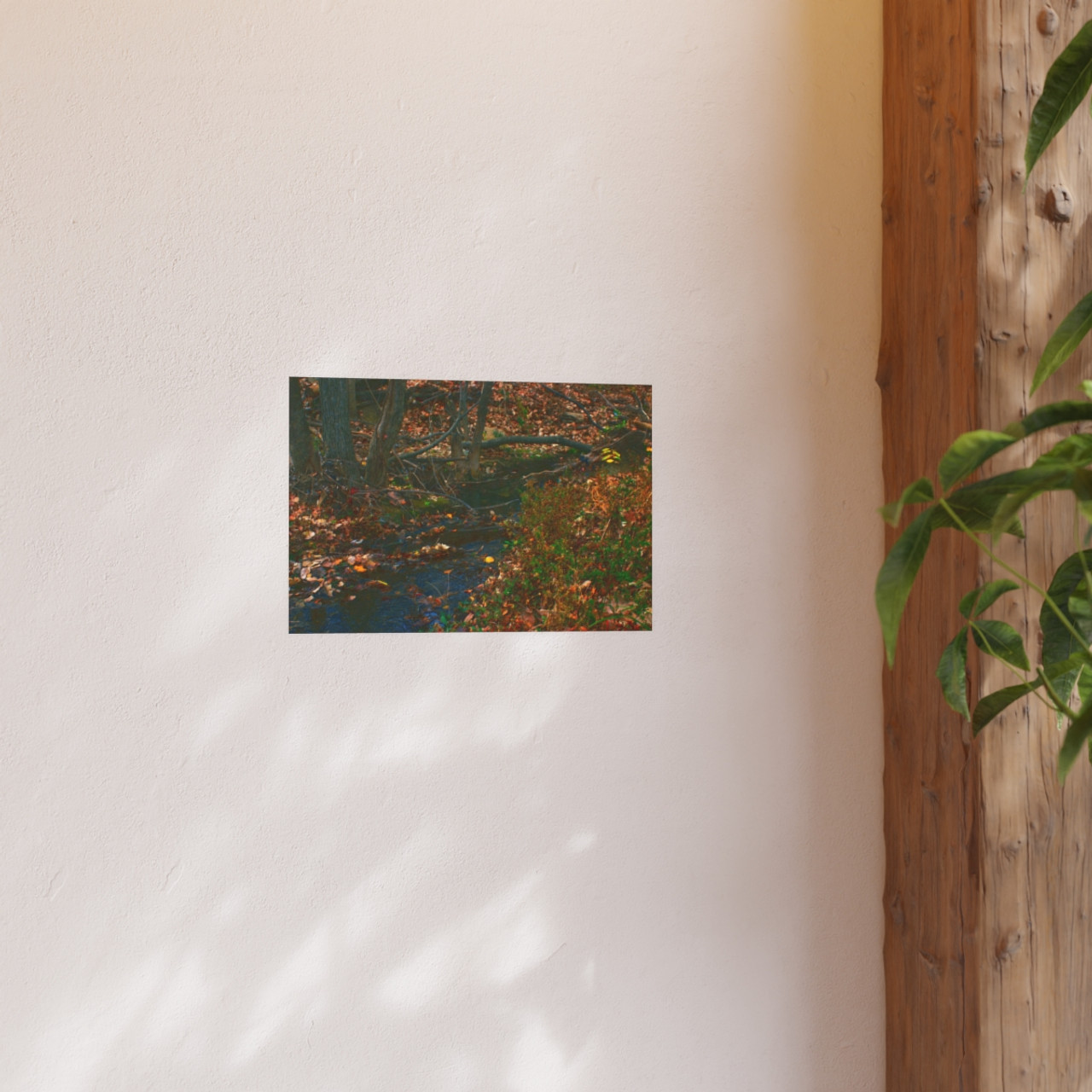 Whispering Brook - Photographic Print