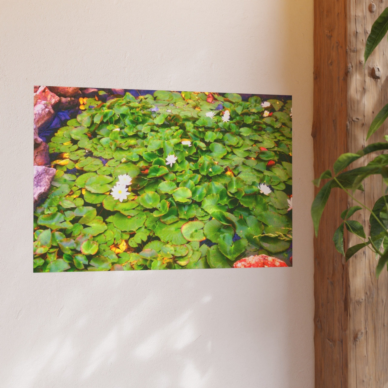 White Lotus - Photographic Print