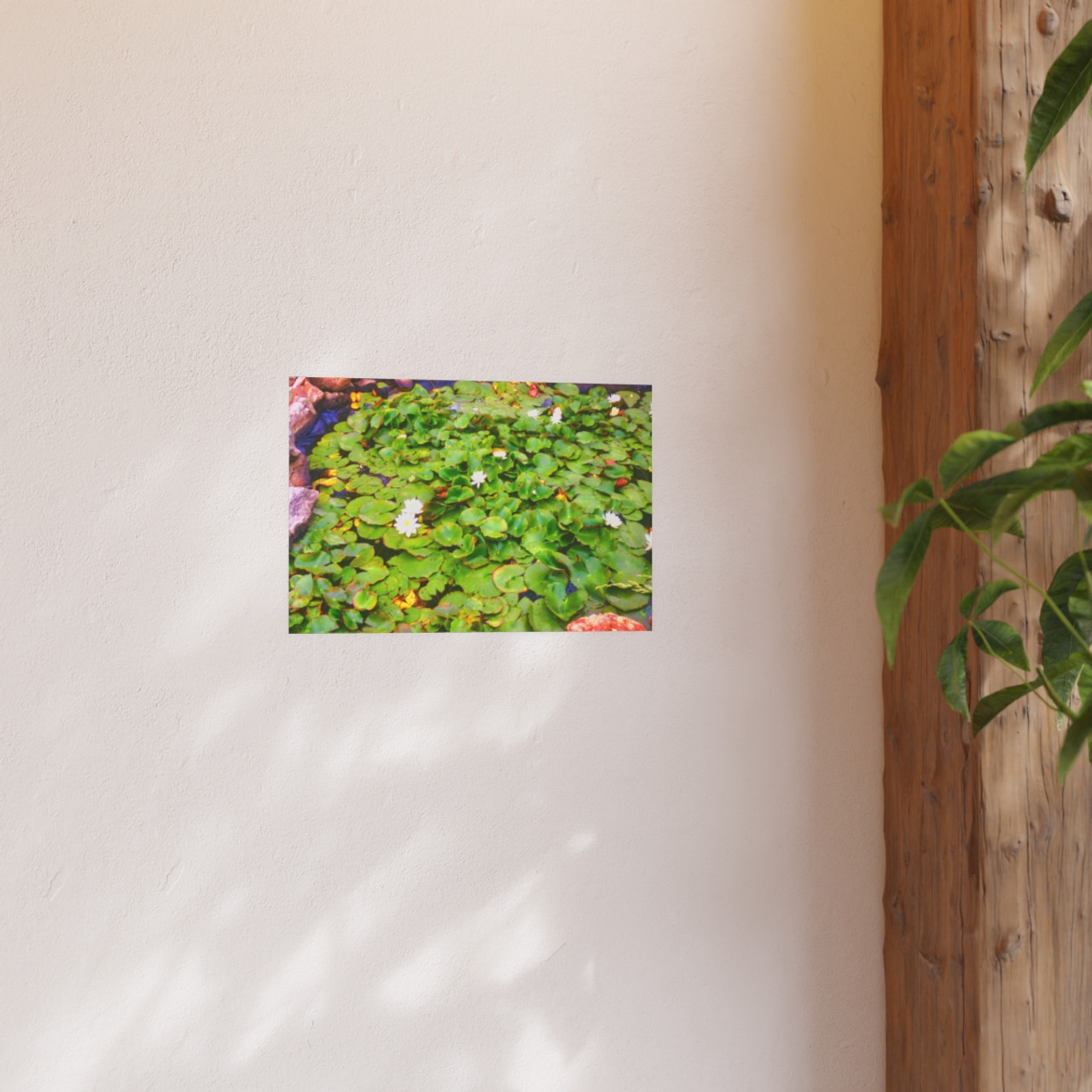 White Lotus - Photographic Print