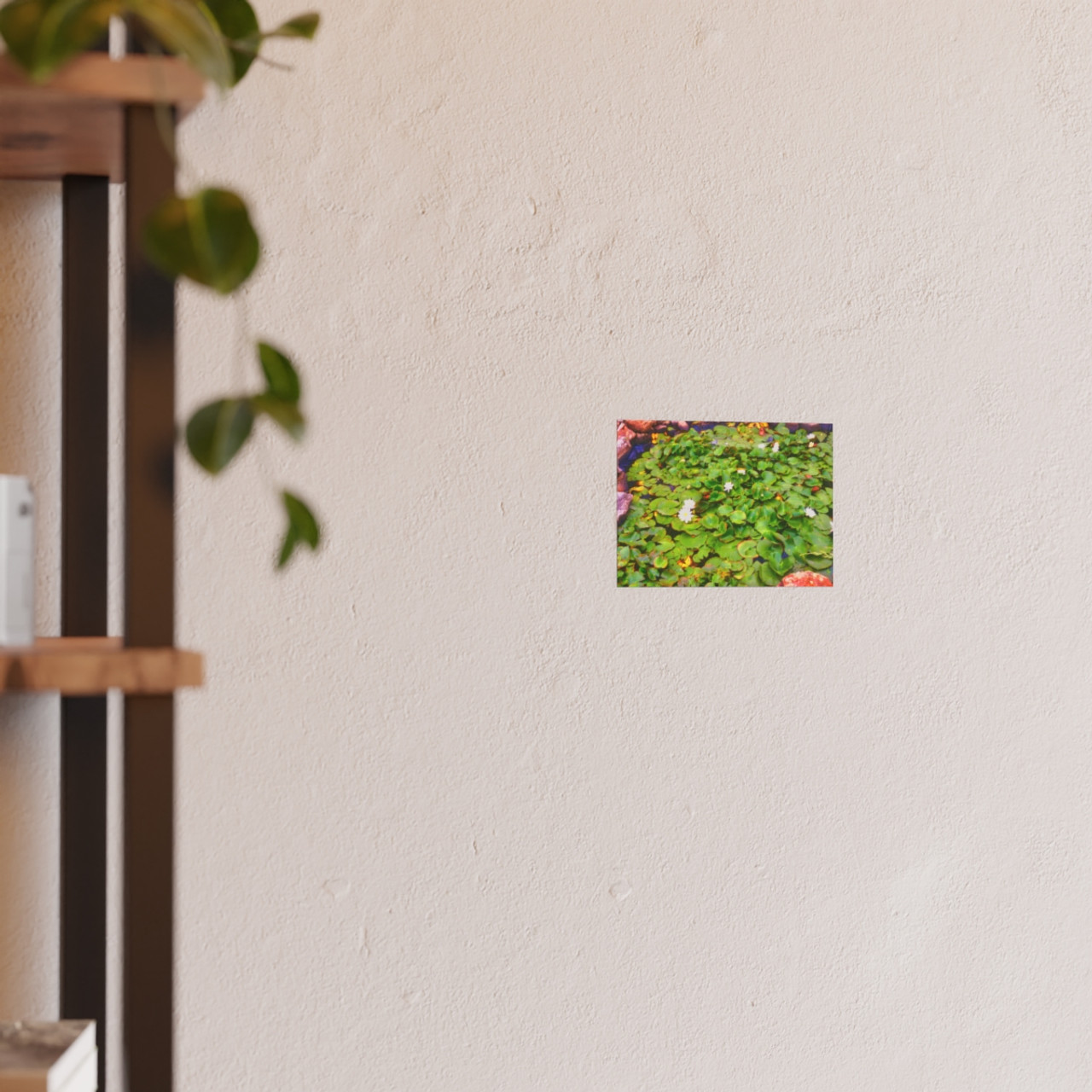 White Lotus - Photographic Print