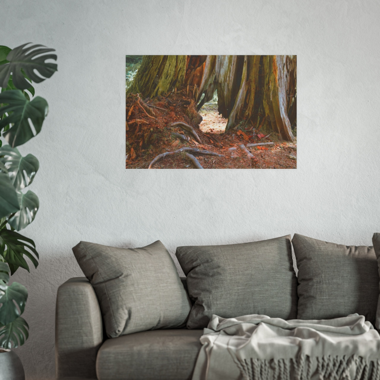 Window Through Entropy - Photographic Print