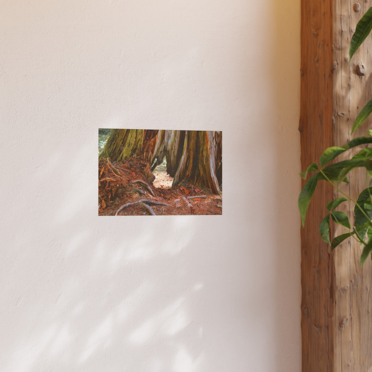 Window Through Entropy - Photographic Print