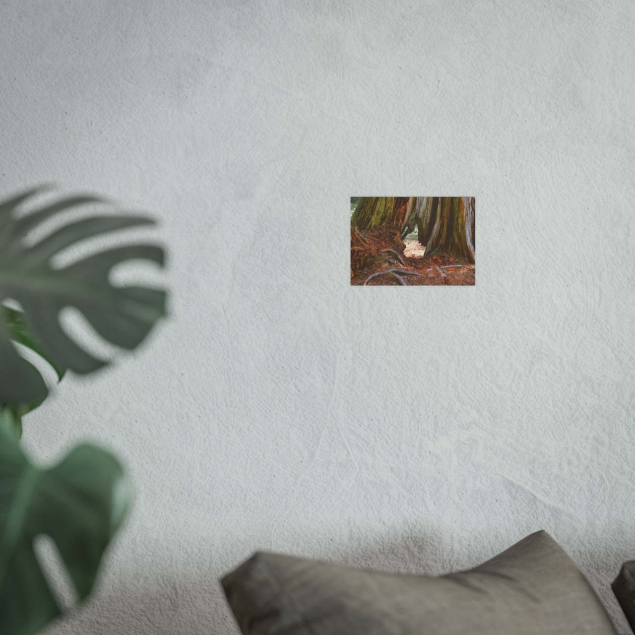 Window Through Entropy - Photographic Print