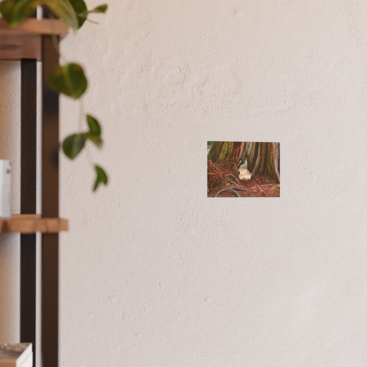 Window Through Entropy - Photographic Print