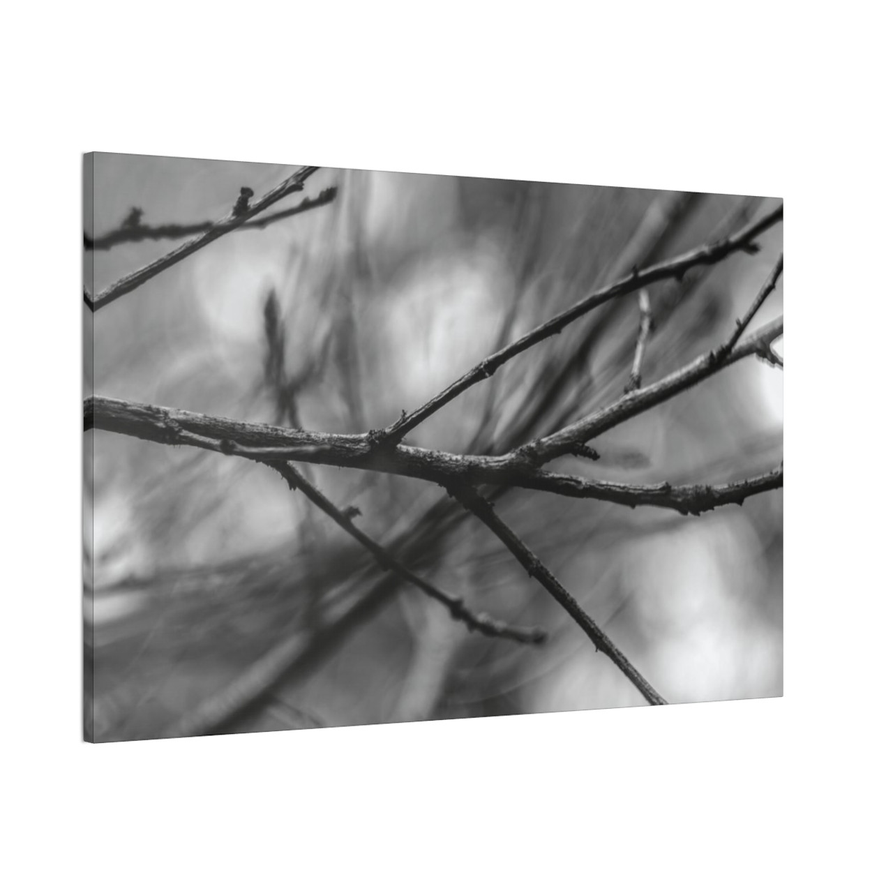 Winter Branch - Stretched Canvas Print