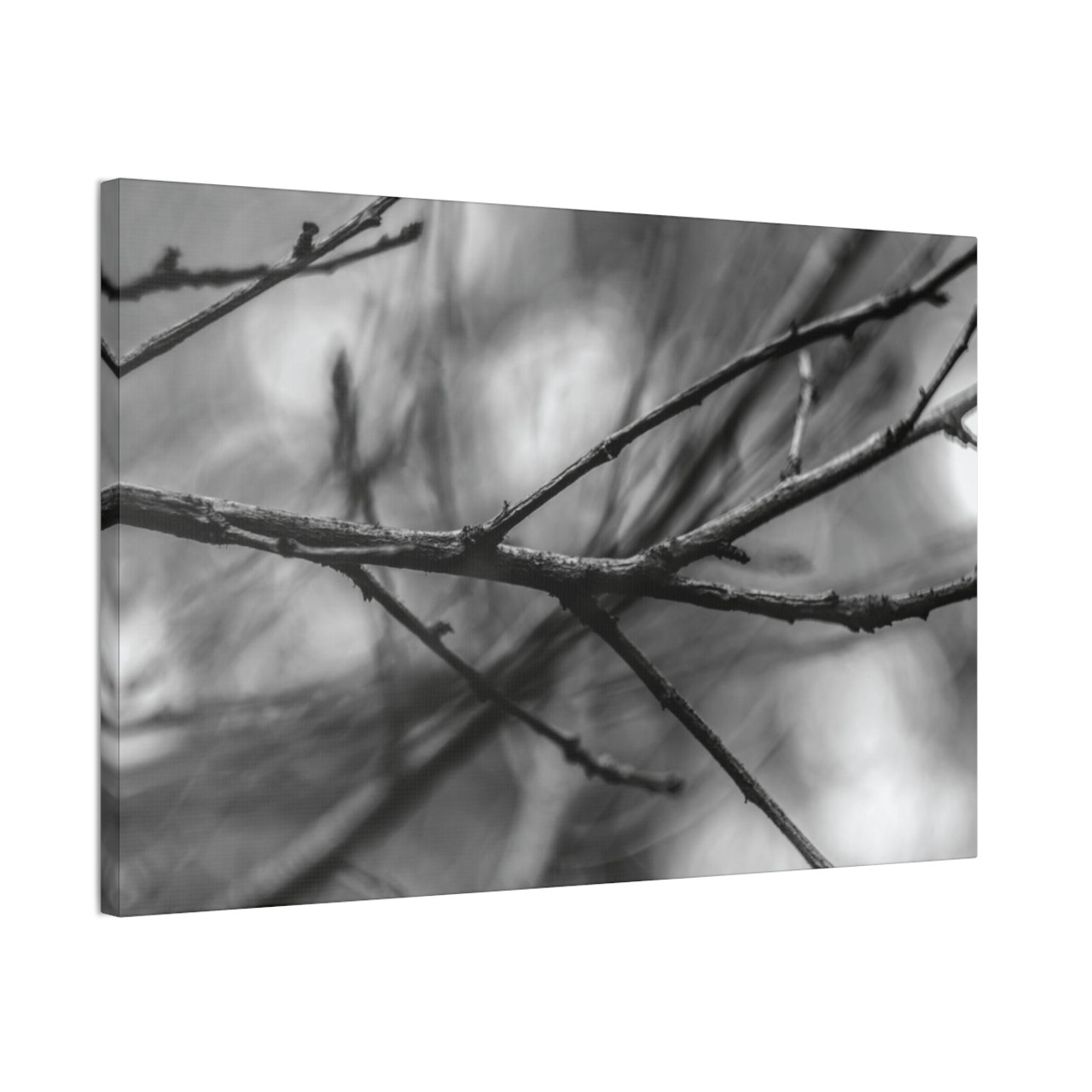Winter Branch - Stretched Canvas Print