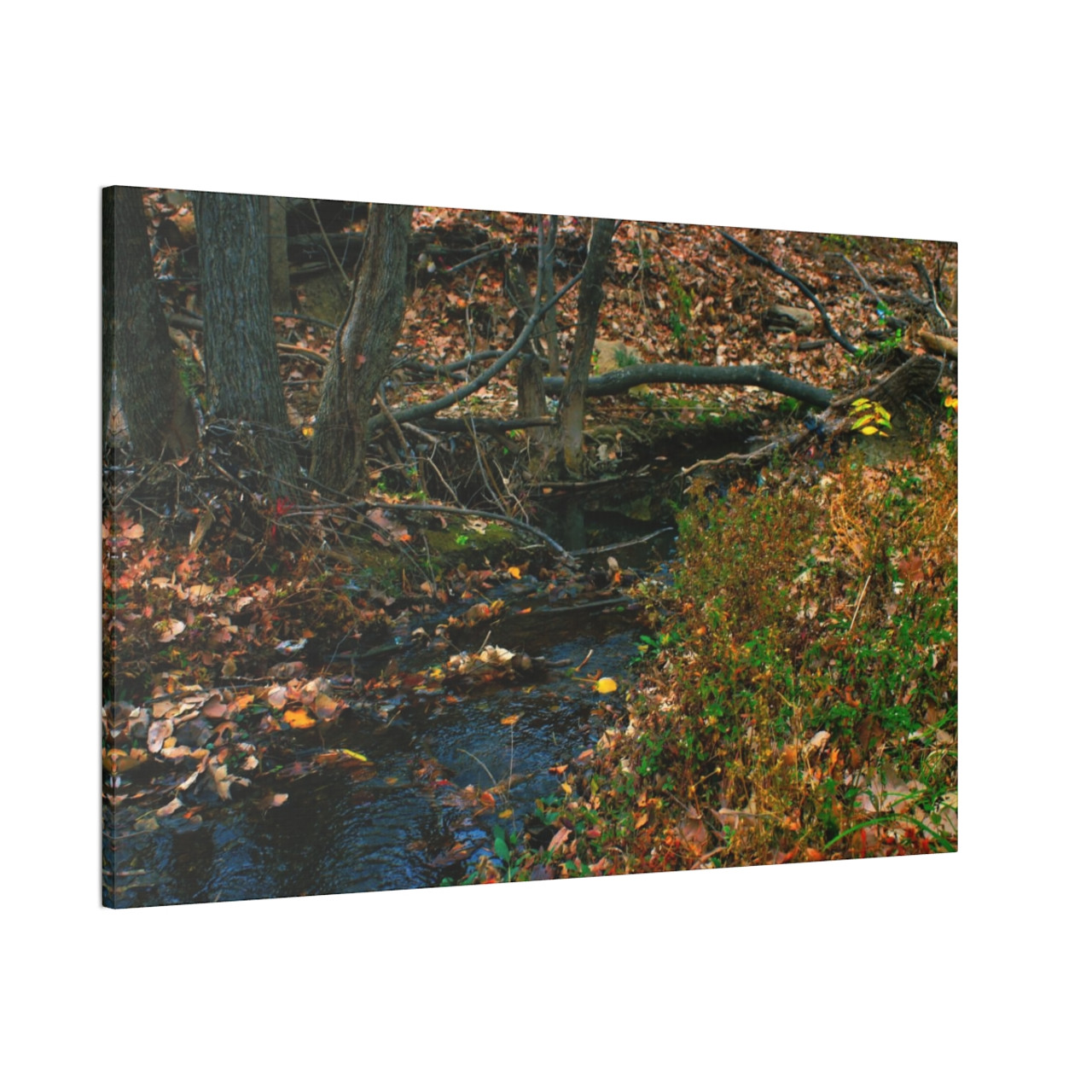 Whispering Brook - Stretched Canvas Print
