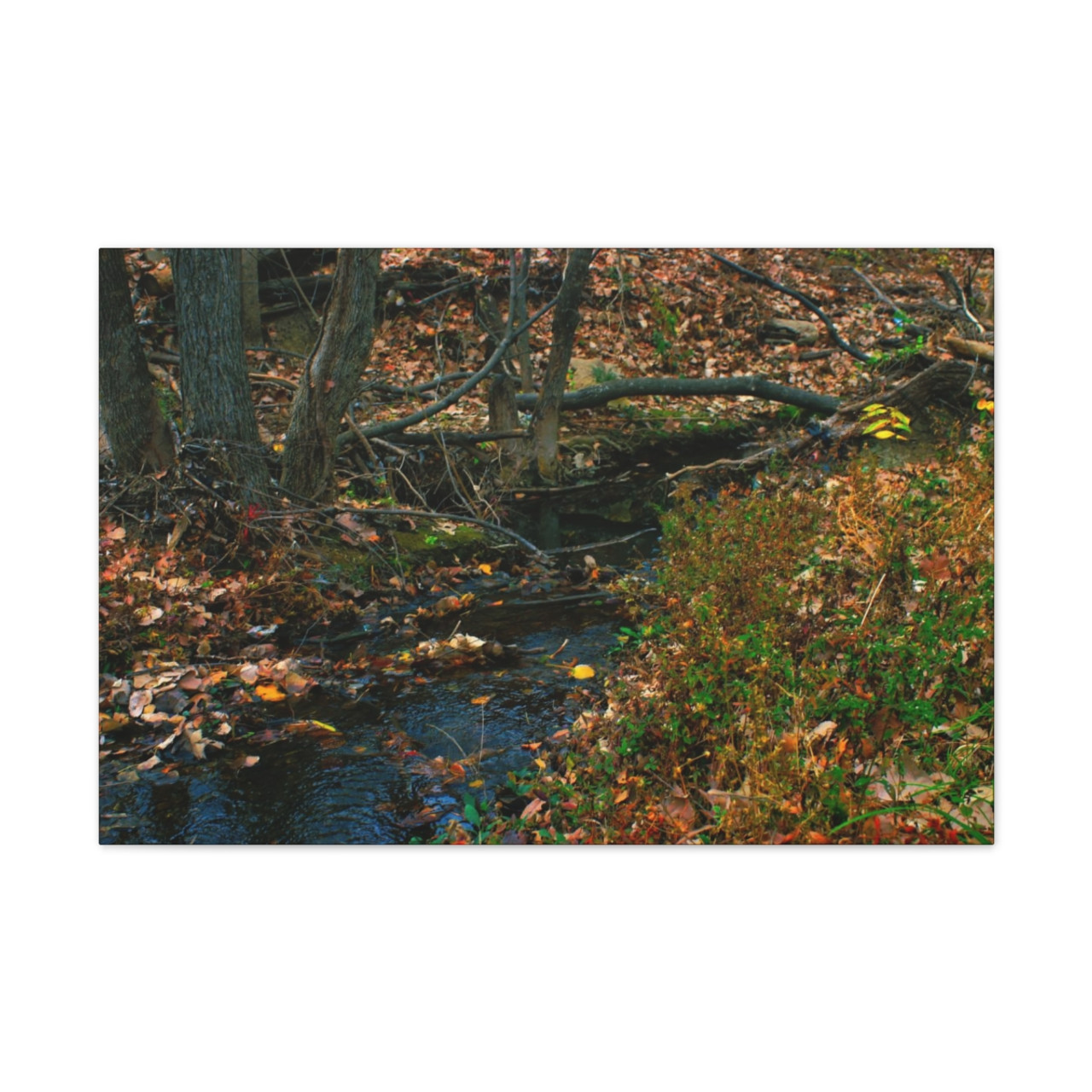 Whispering Brook - Stretched Canvas Print