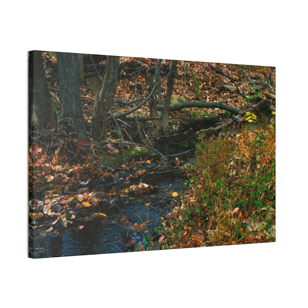 Whispering Brook - Stretched Canvas Print