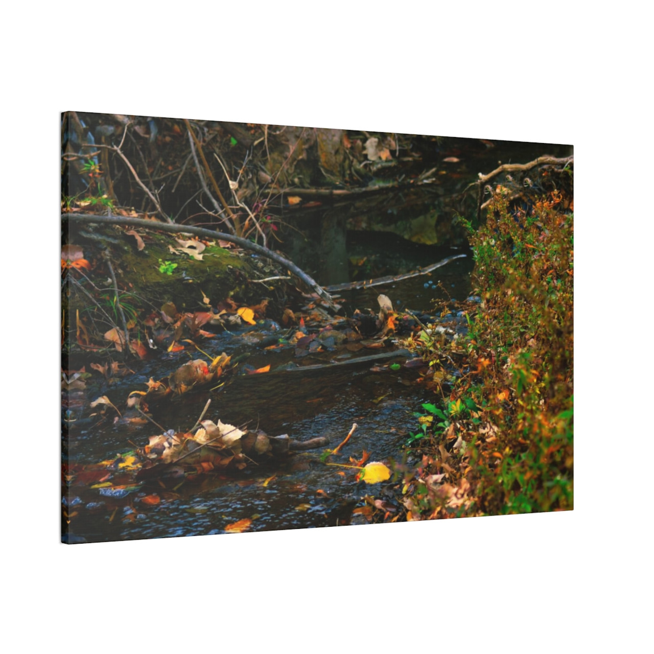 Murmuring Brook - Stretched Canvas Print