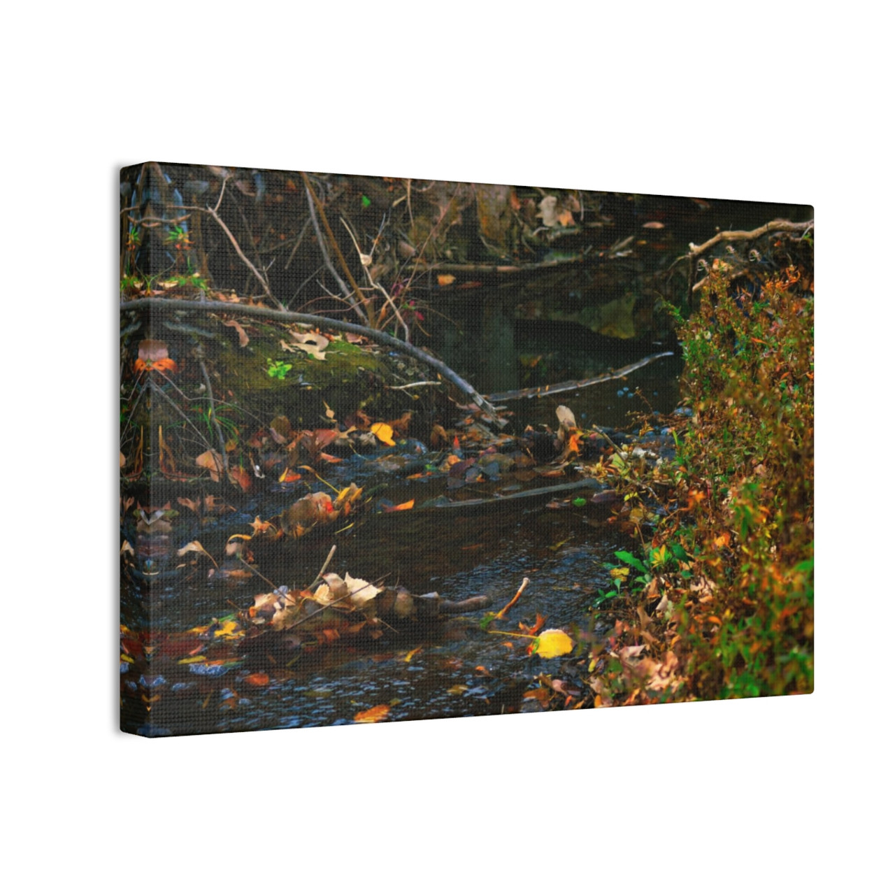 Murmuring Brook - Stretched Canvas Print