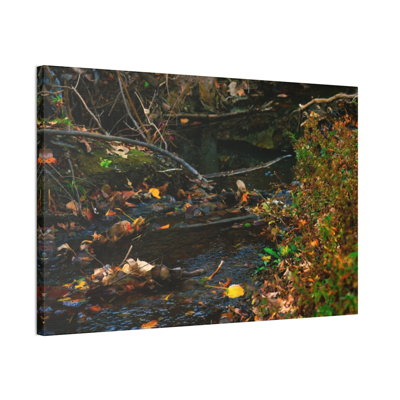 Murmuring Brook - Stretched Canvas Print