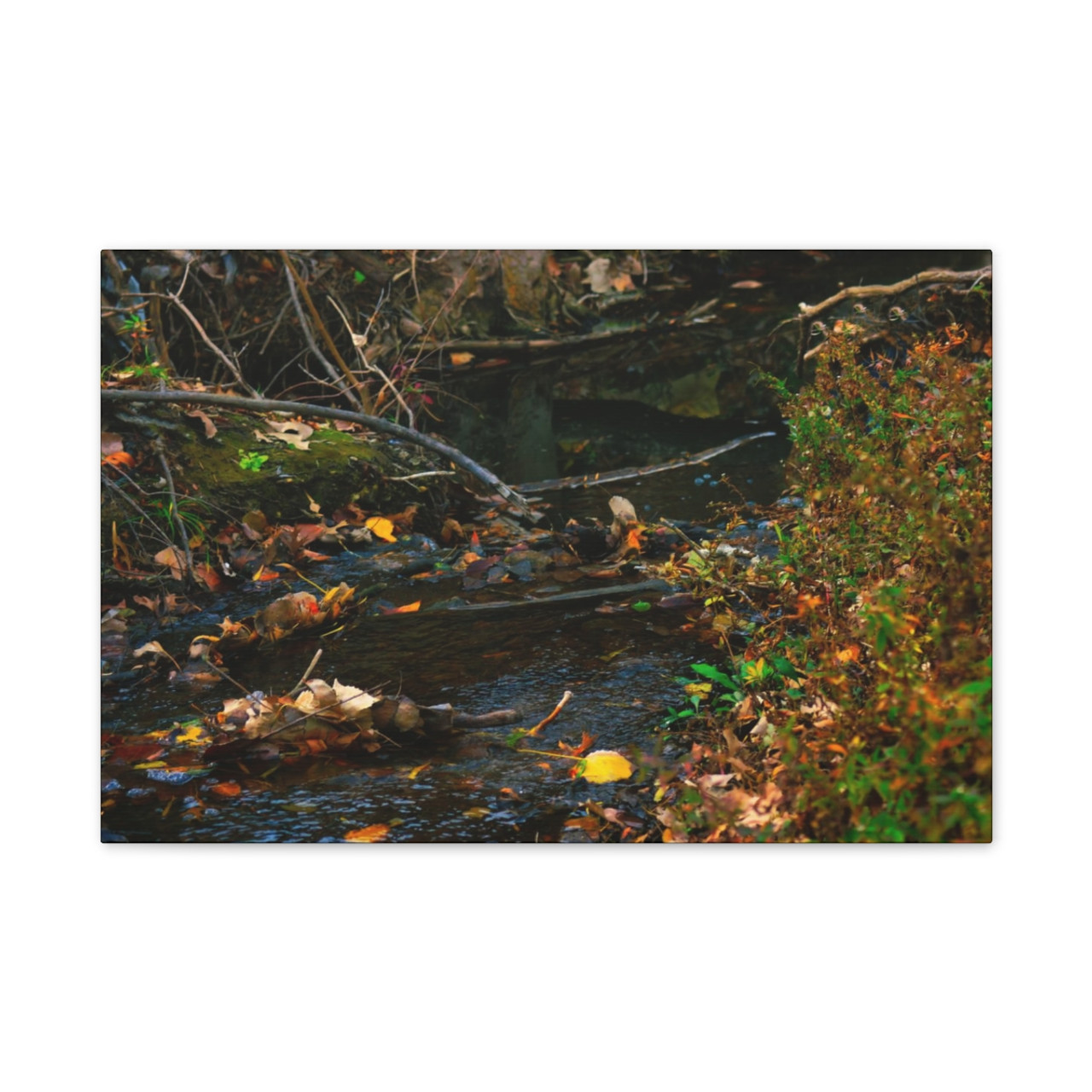 Murmuring Brook - Stretched Canvas Print