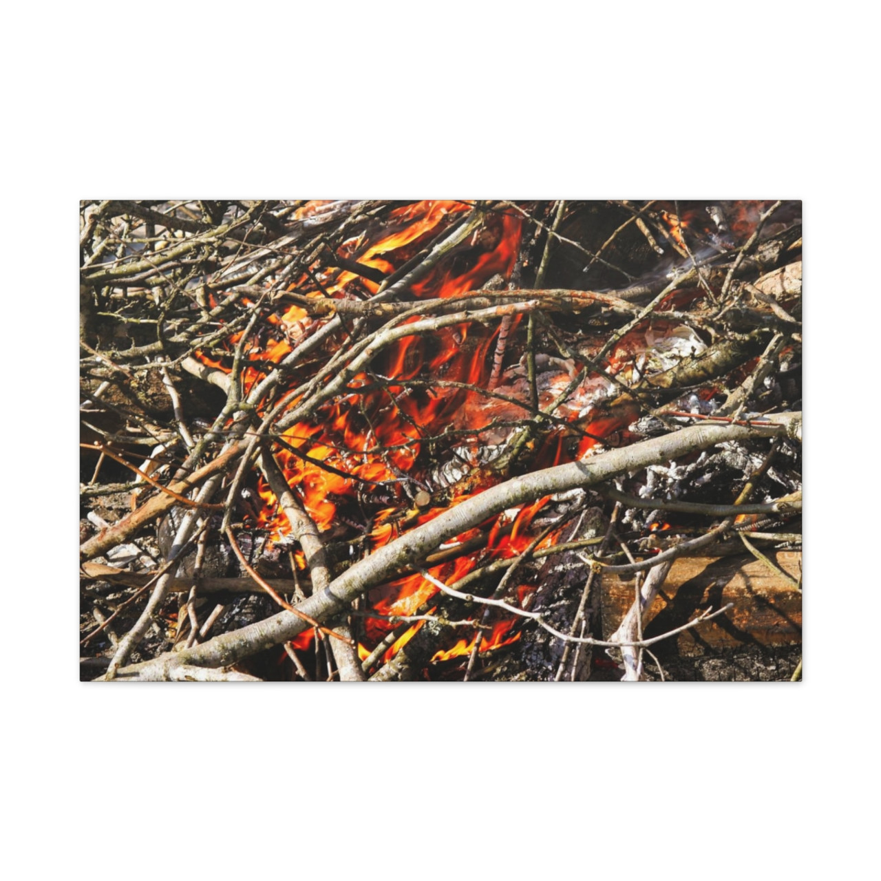 Catching Fire - Stretched Canvas Print