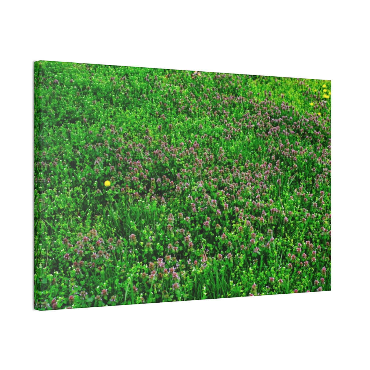 Mint Blooms- Stretched Canvas Print