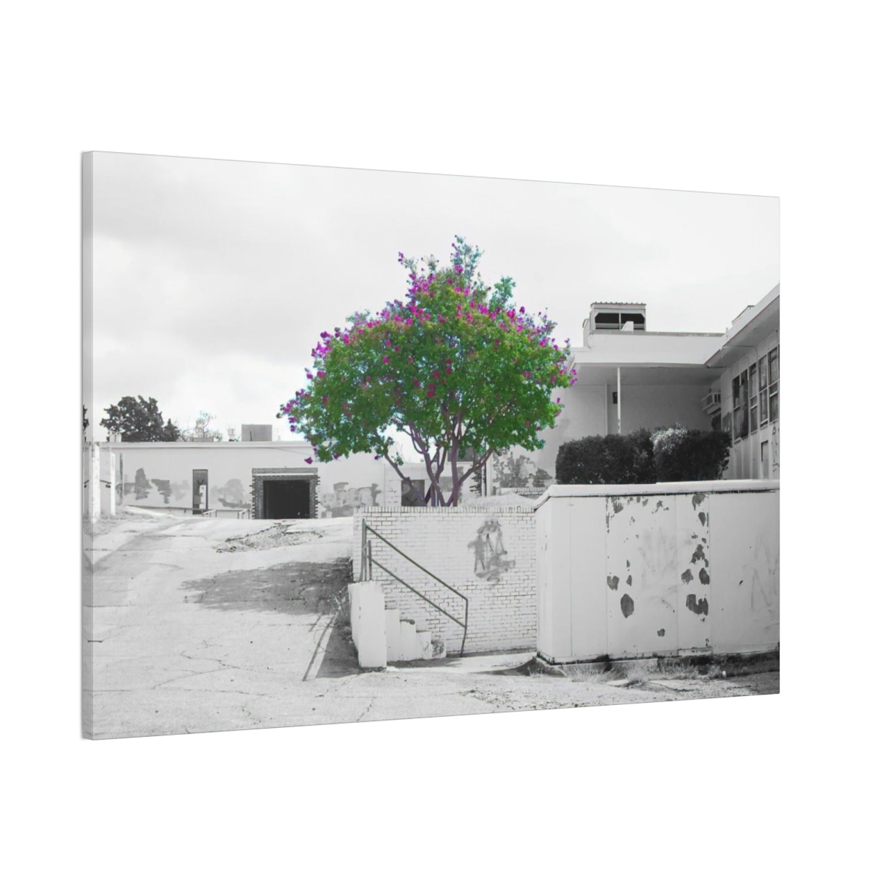 Beauty Among Ruins - Stretched Canvas Print