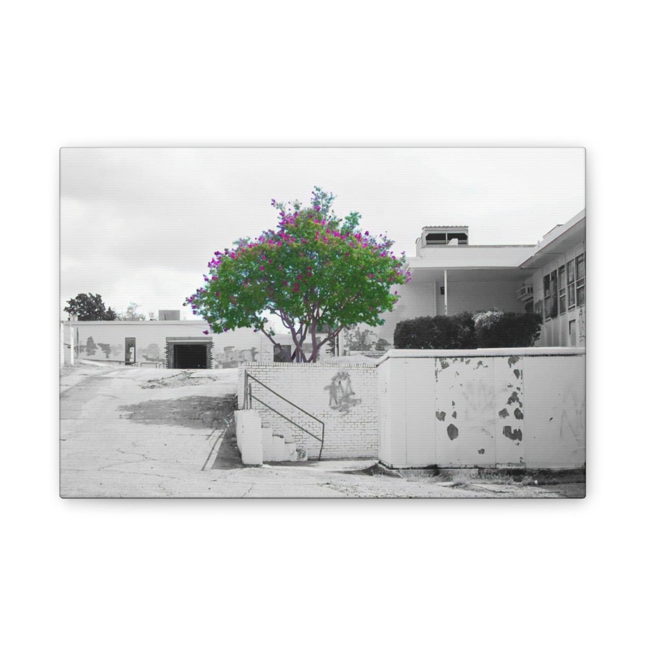 Beauty Among Ruins - Stretched Canvas Print