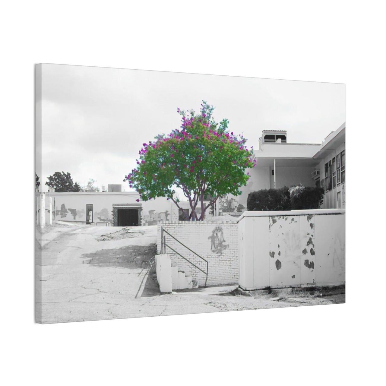 Beauty Among Ruins - Stretched Canvas Print