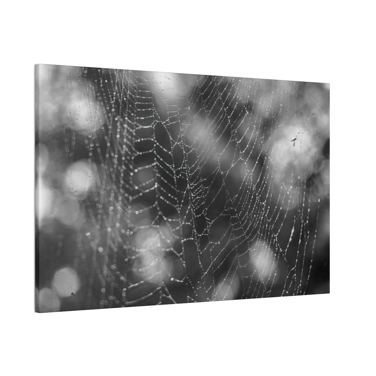 The Webs We Weave - Stretched Canvas Print