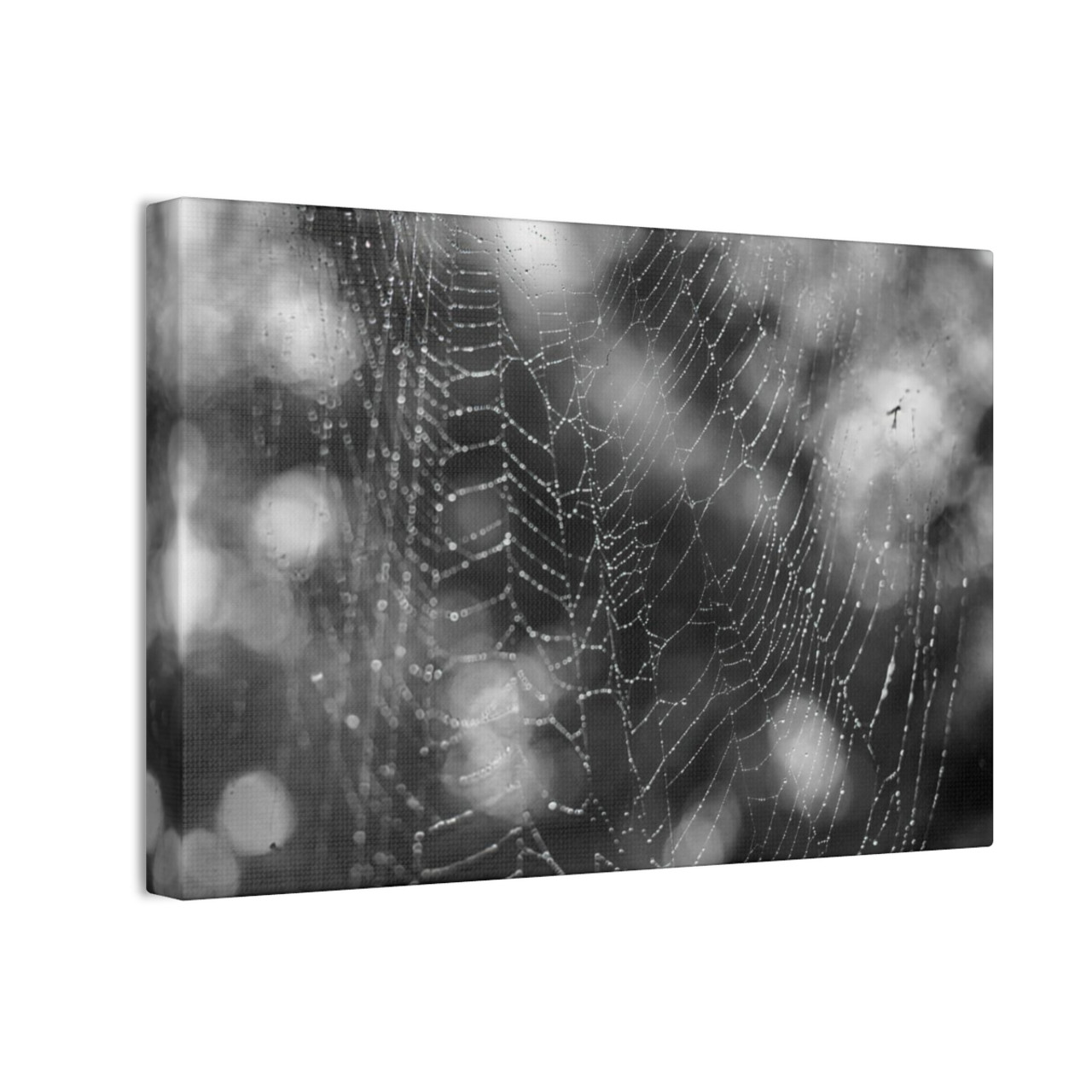 The Webs We Weave - Stretched Canvas Print