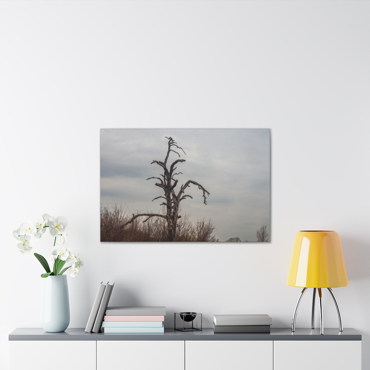 Lonely Oak - Stretched Canvas Print