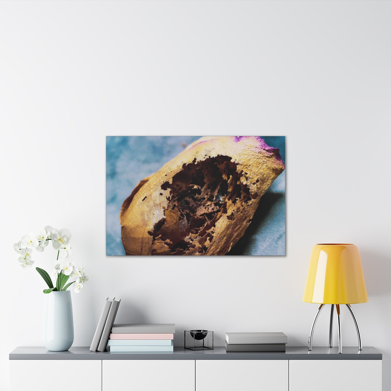 Beauty's Decay - Stretched Canvas Print