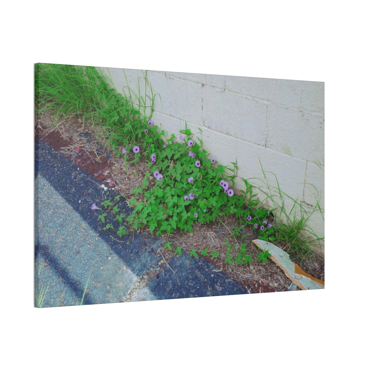 Nature Reclaiming - Stretched Canvas Print