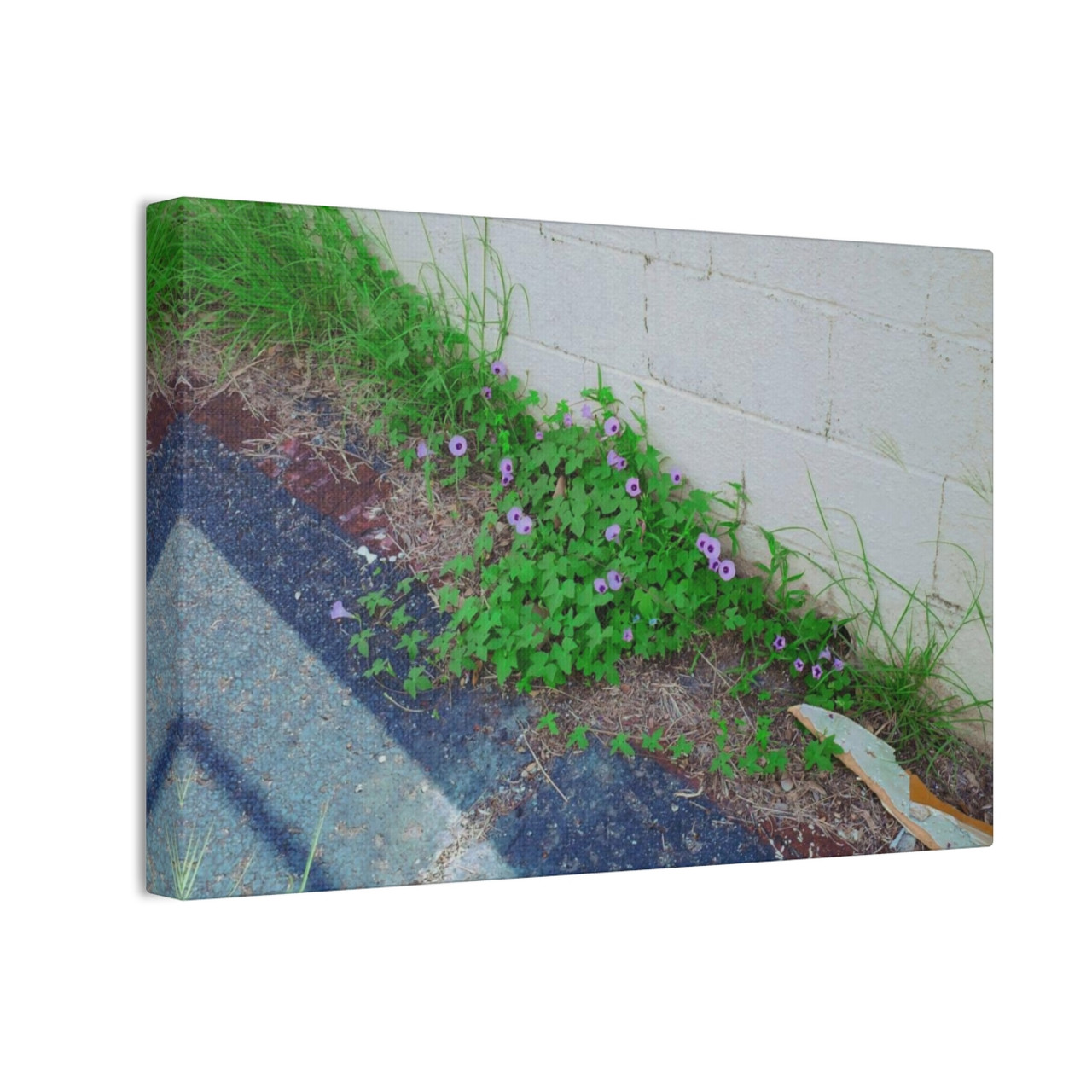 Nature Reclaiming - Stretched Canvas Print