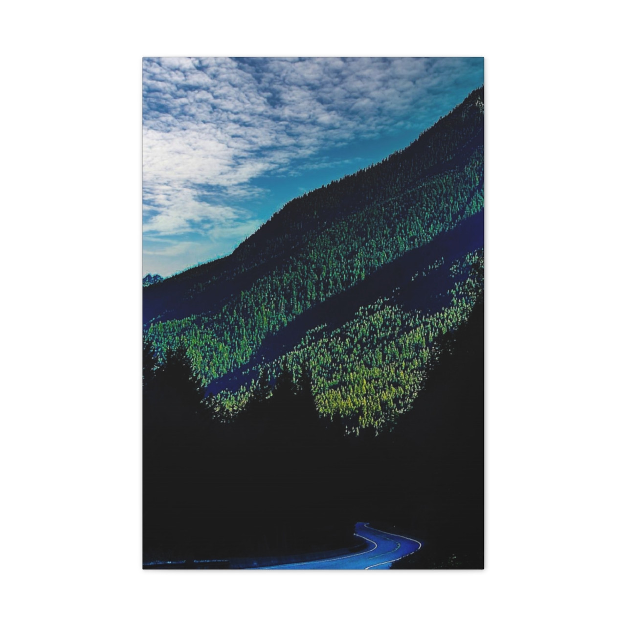 The Slope - Stretched Canvas Print