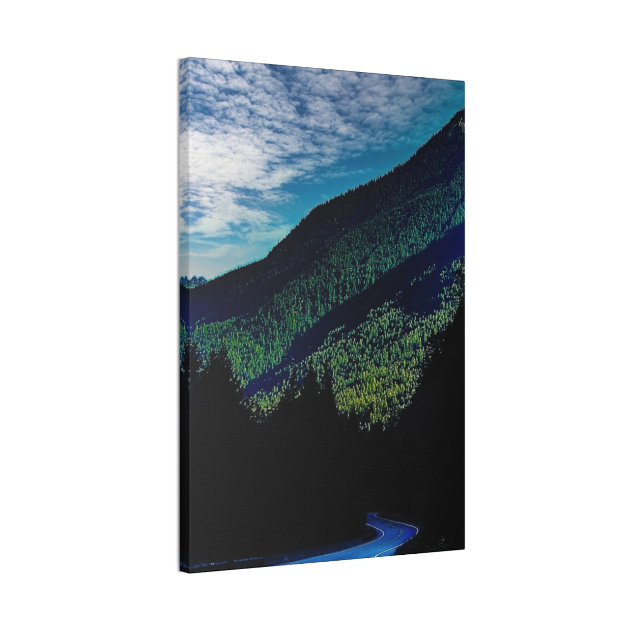 The Slope - Stretched Canvas Print