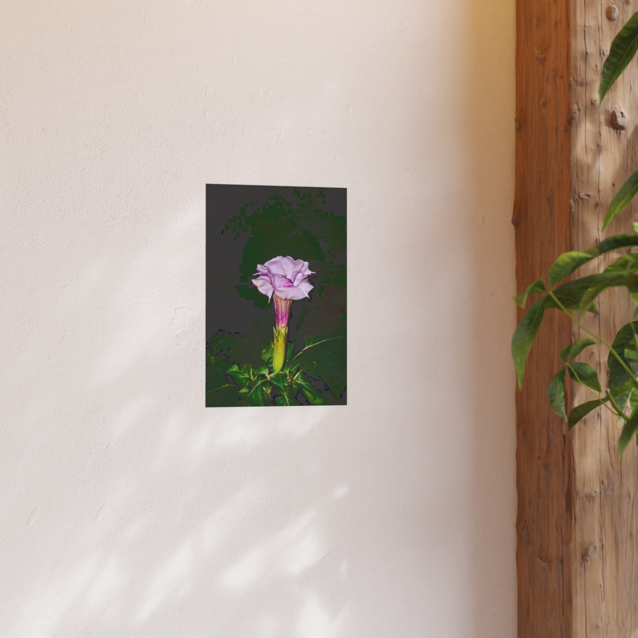 Devil's Trumpet - Photographic Print