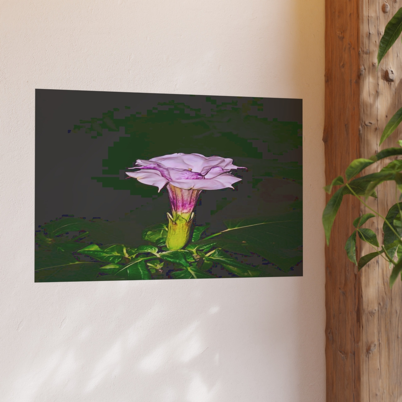Devil's Trumpet - Photographic Print
