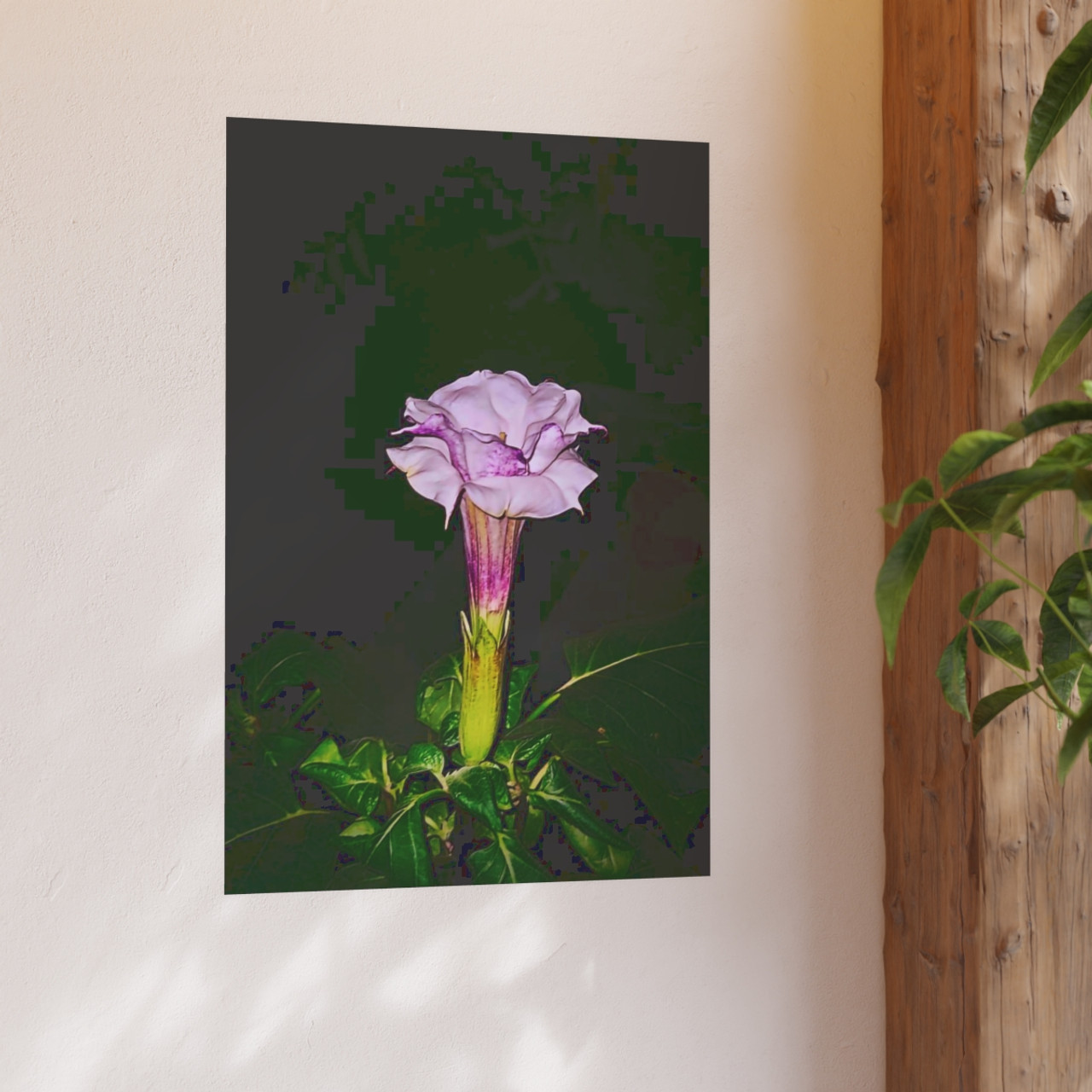 Devil's Trumpet - Photographic Print