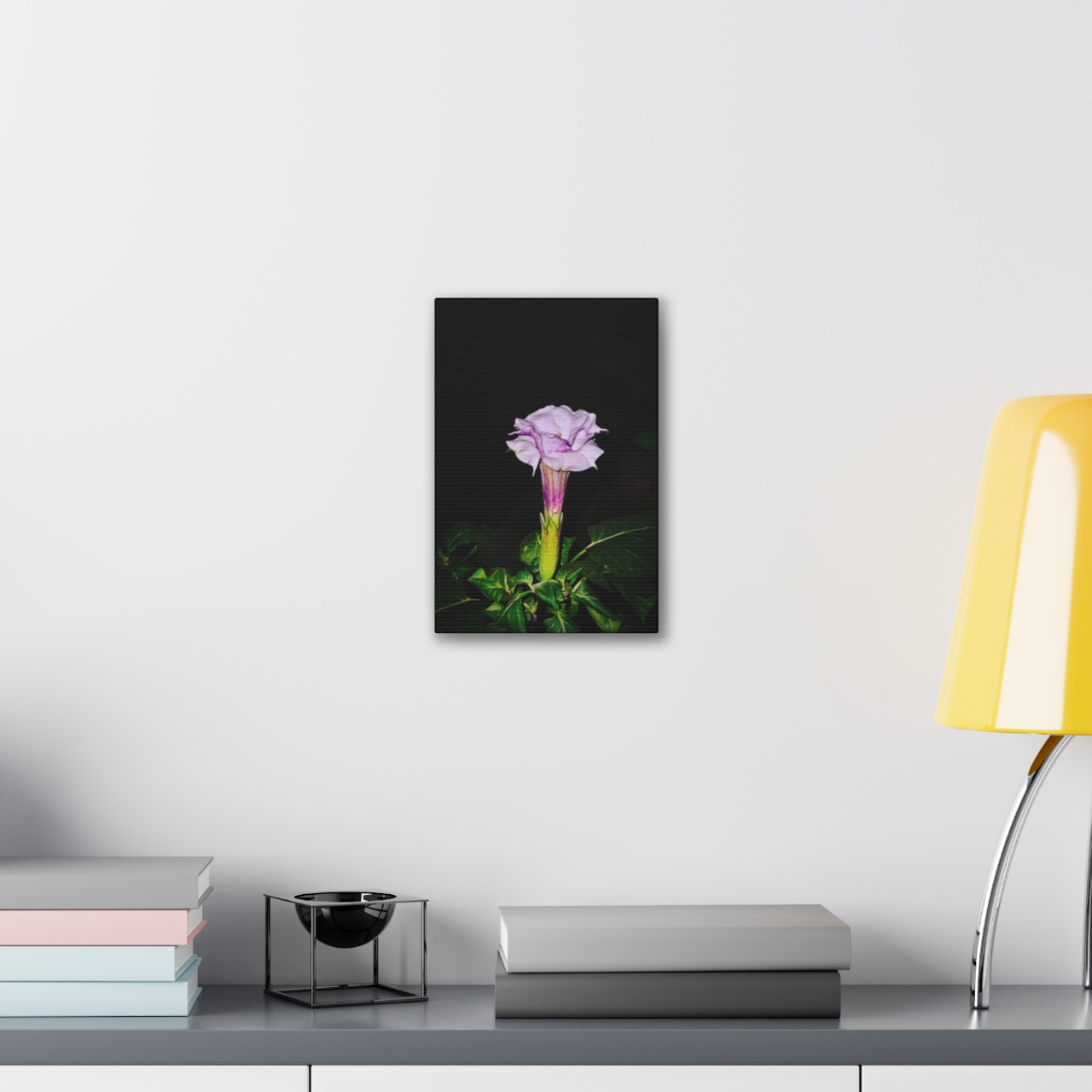 Devil's Trumpet - Stretched Canvas Print