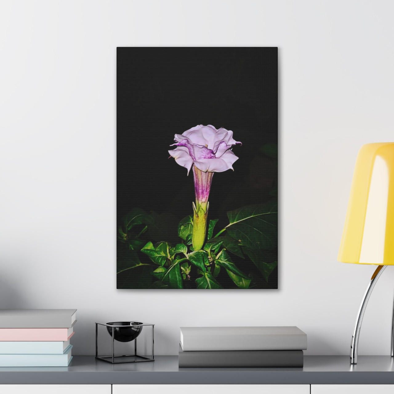Devil's Trumpet - Stretched Canvas Print