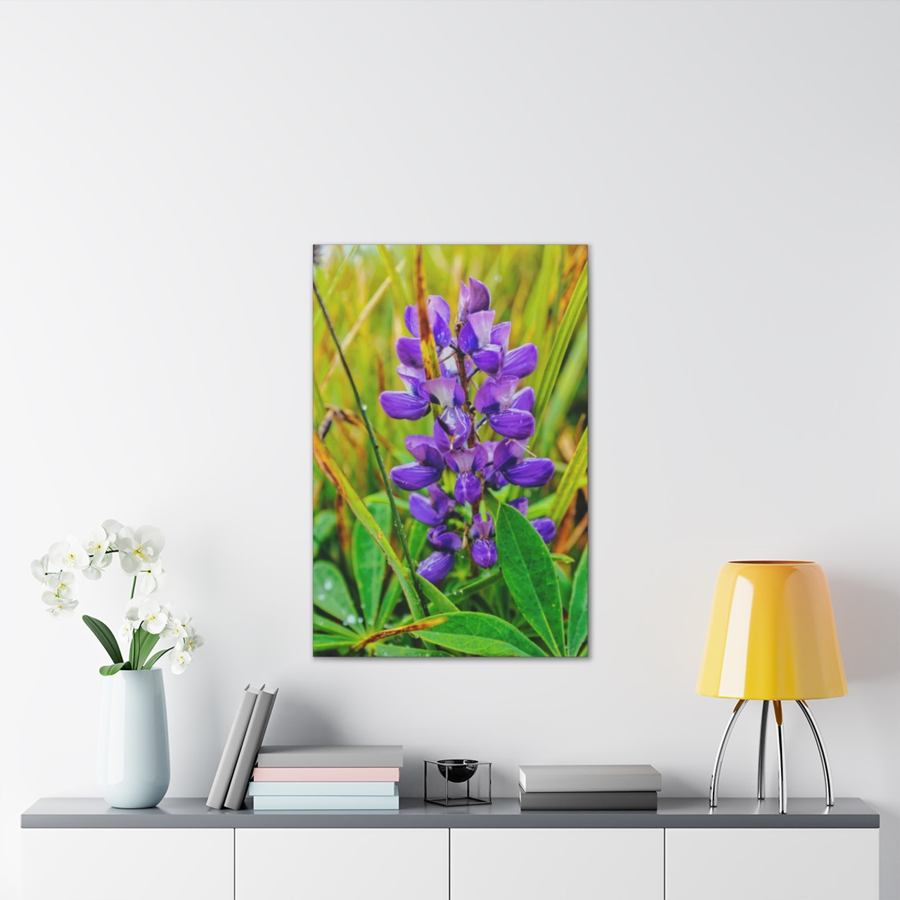 Lupine Lover - Stretched Canvas Print