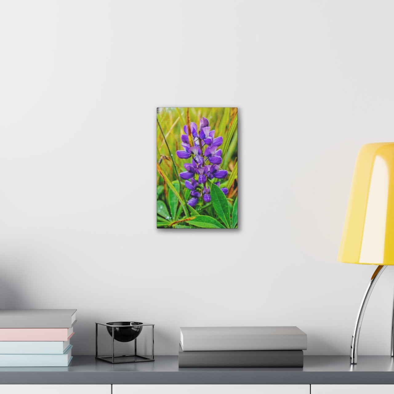 Lupine Lover - Stretched Canvas Print