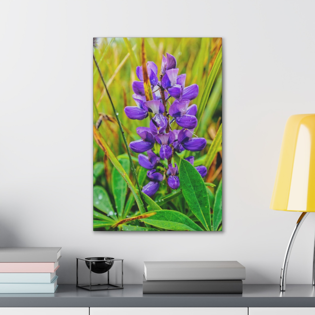 Lupine Lover - Stretched Canvas Print