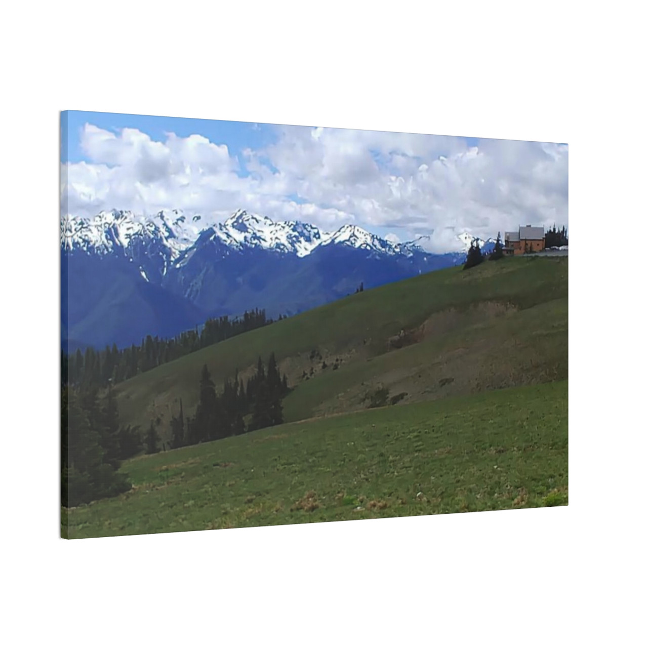Washington Countryside - Stretched Canvas Print